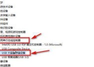 选择U盘需注意的事项（全面了解U盘）
