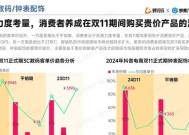 电商双十一营销策划方案怎么制定？常见问题有哪些？