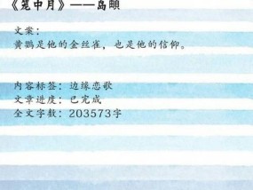 解决显示器屏幕出现黑道的问题（黑道问题解决方法及注意事项）