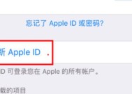 AppleID日常使用注意事项（保护个人信息、避免账号盗窃）