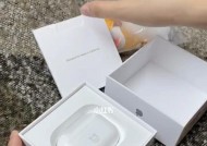 解决苹果AirPodsPro单只耳机不出声的问题（针对AirPodsPro单只耳机无声的解决方案及注意事项）