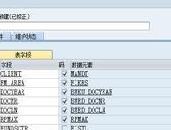 深入了解SAP数据库（探索SAP数据库的全面功能）