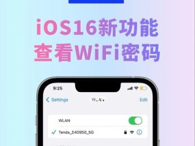 iPhone教程（轻松获取已连接WiFi网络的密码）