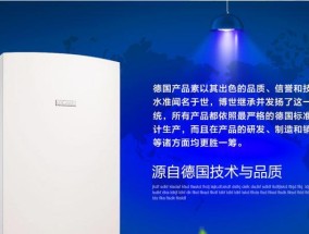 解决博世壁挂炉燃烧时响声大的问题（探究壁挂炉声音大的原因及处理方法）