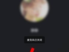 手机通话中对方听不到声音怎么解决（排除手机通话无声问题的有效方法）