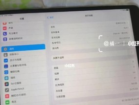 如何检查iPad电池健康状态（有效的方法和技巧）