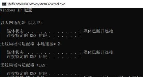 电脑虚拟IP地址软件有哪些（探索虚拟IP地址软件的使用和功能）  第1张