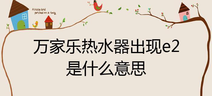 解析老板热水器E2故障代码的故障检修方法（掌握E2故障代码）  第3张